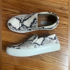 Steve Madden Sneakers